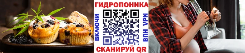 kraken онион  Истра  Canna-Cookies марихуана 